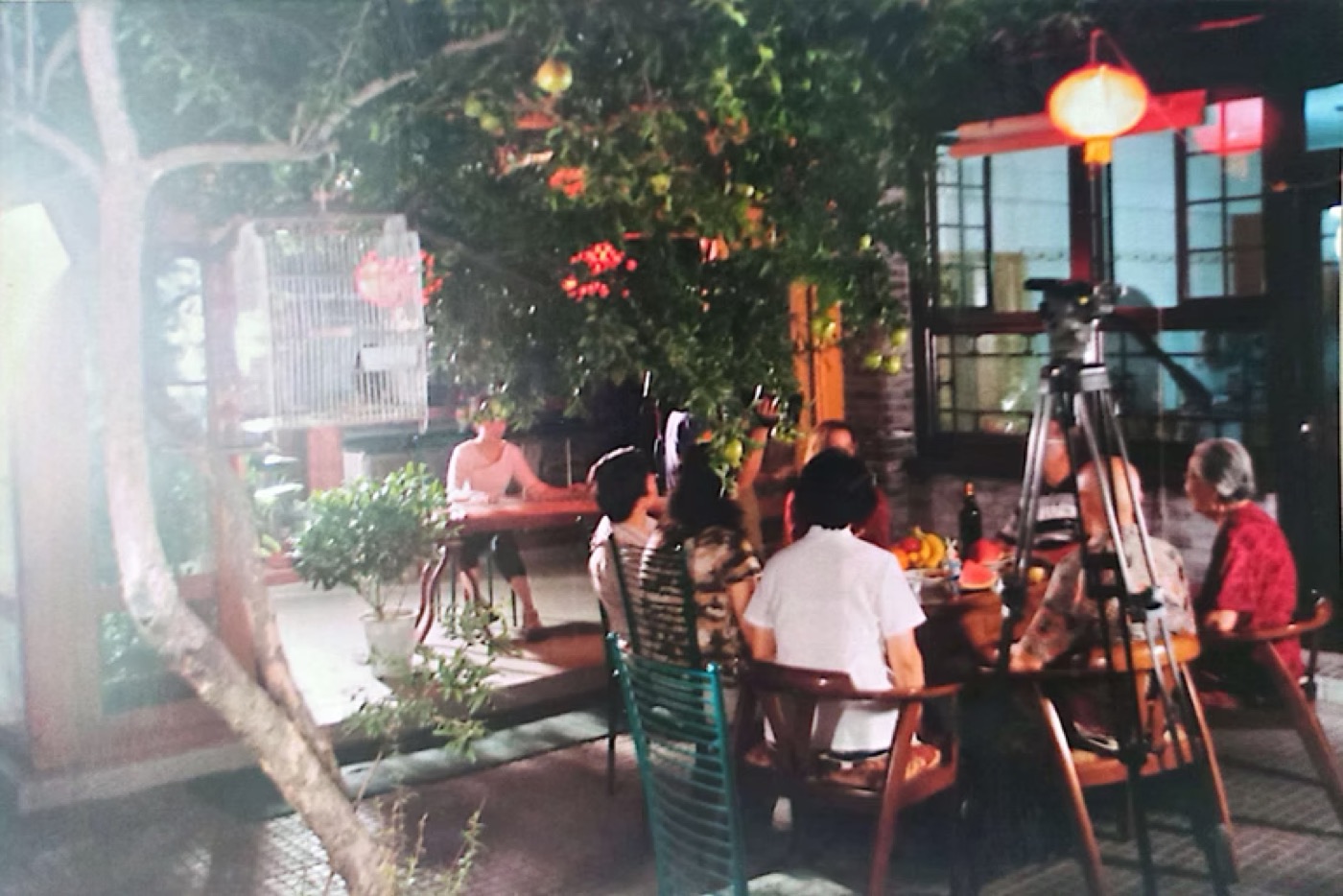 A family table beneath the trees
