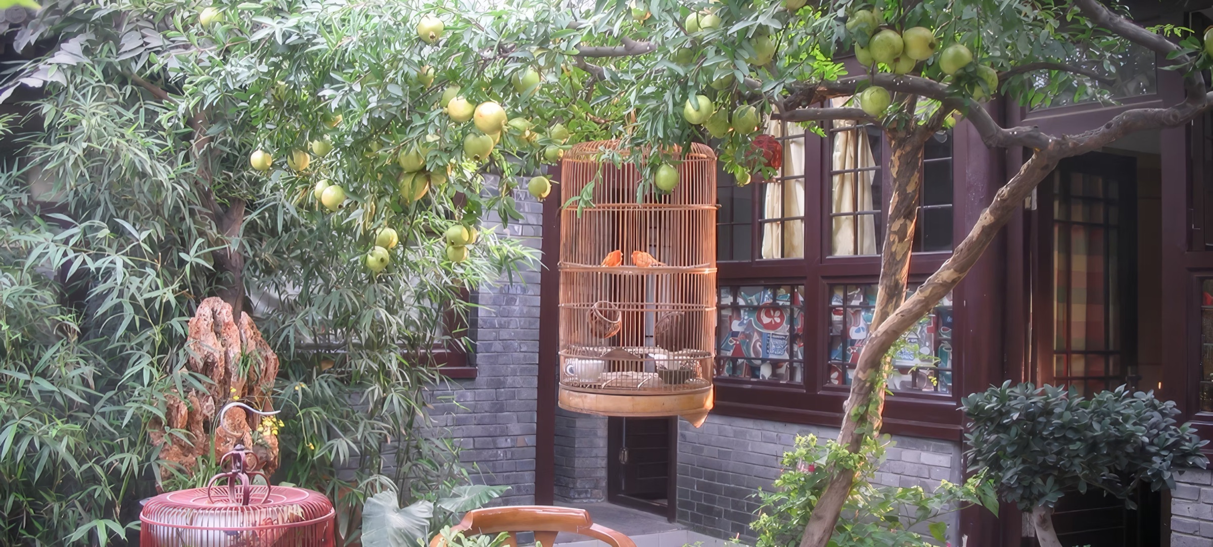 Pomegranate trees and birdcages in the family courtyard